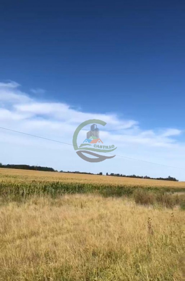 140 Ha Agricolas - Saladillo