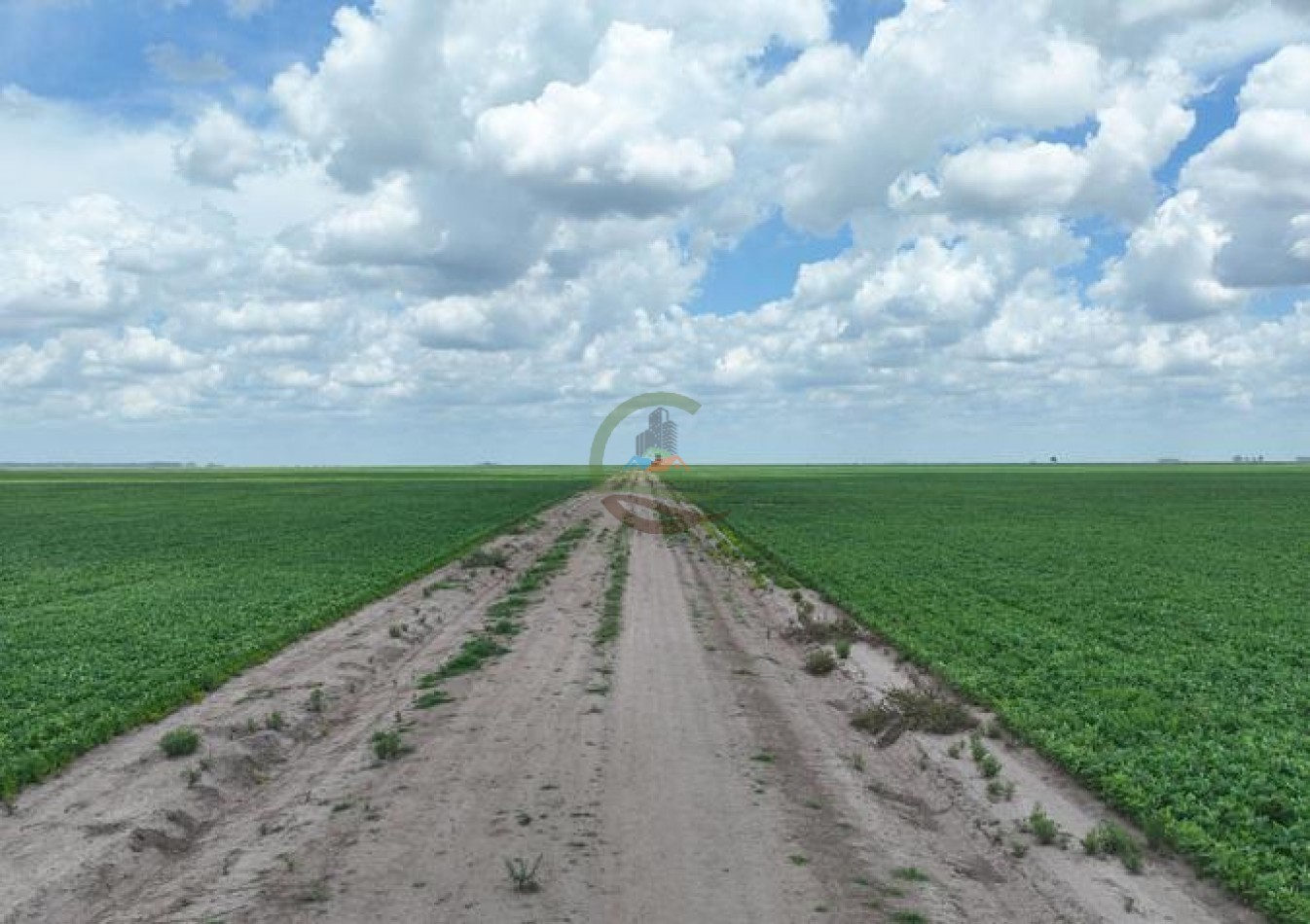 1009 ha Mixto - Rufino - Santa Fe