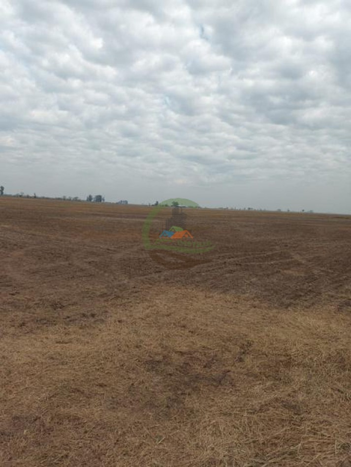 632 Ha Mixtas - Galvez - Santa Fe