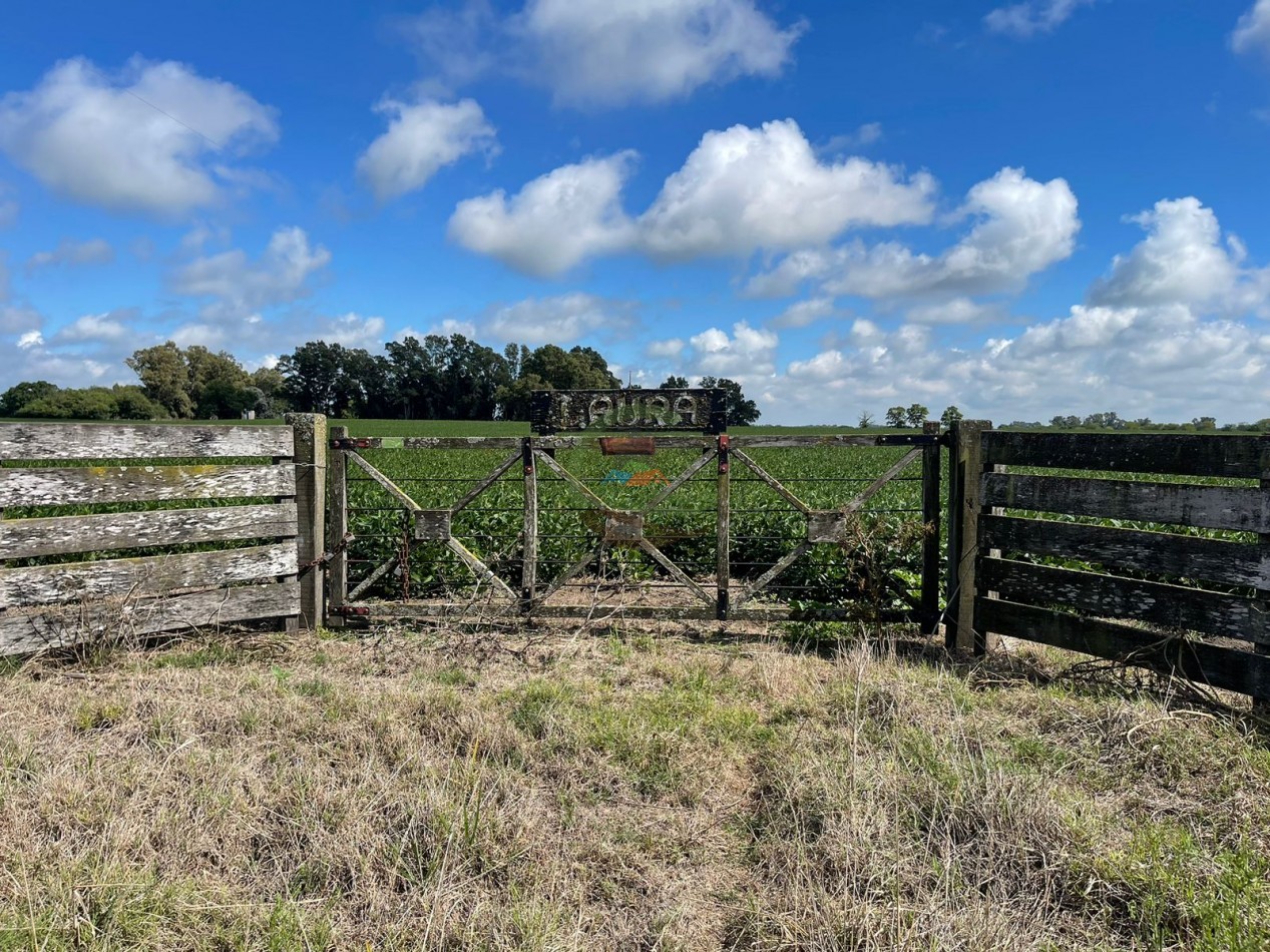 84 ha mixta - Bolivar