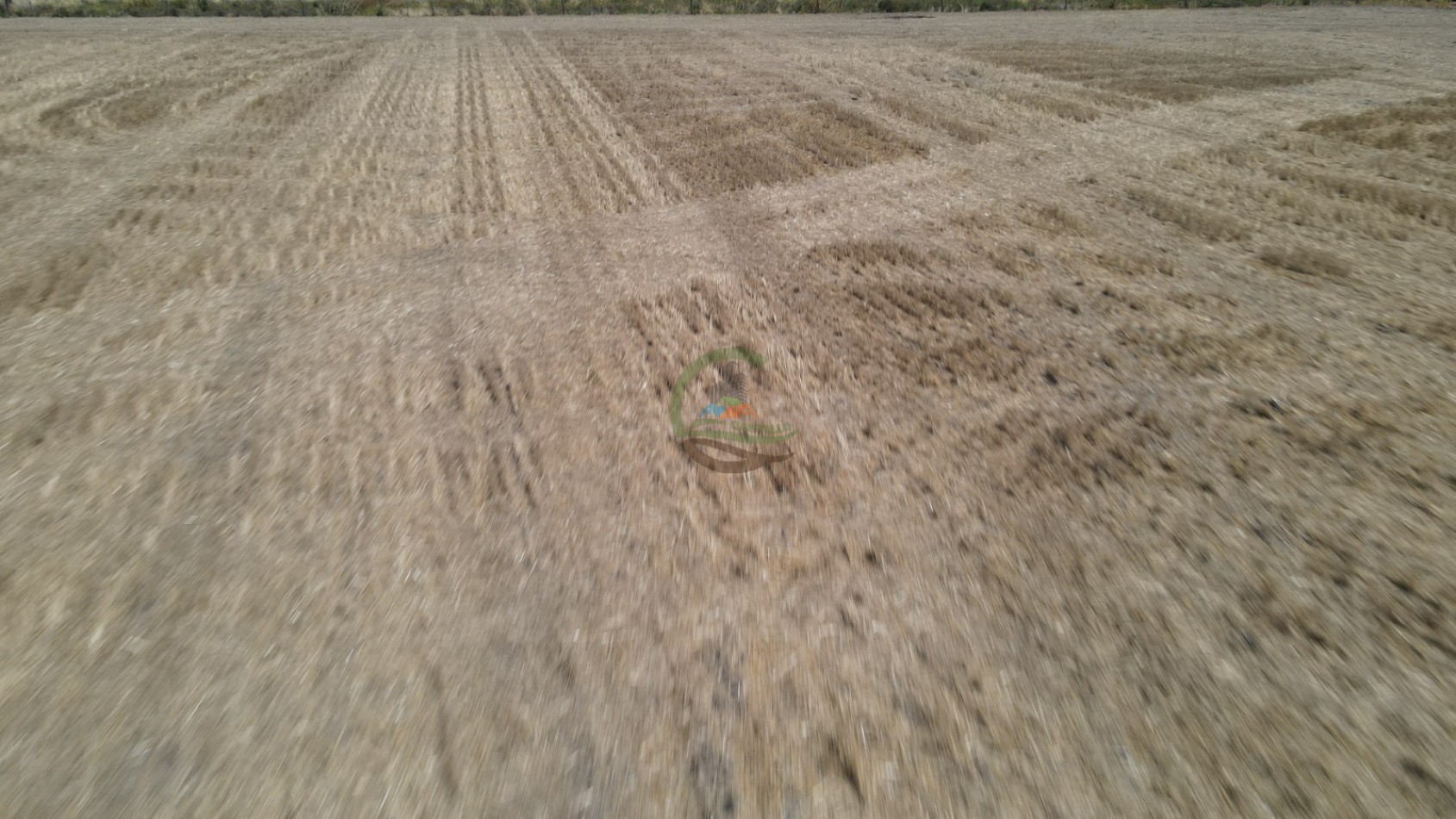 161 Ha Agricolas - Irazusta - Entre Rios