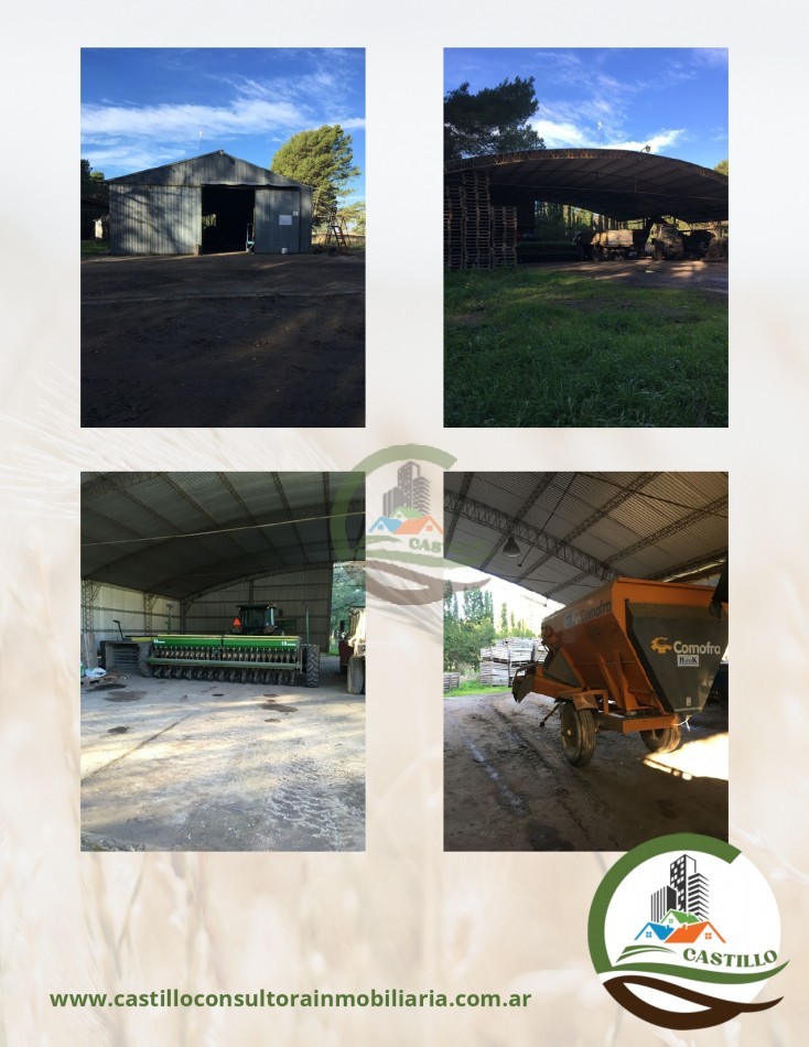 2500 ha mixtas - pedro luro