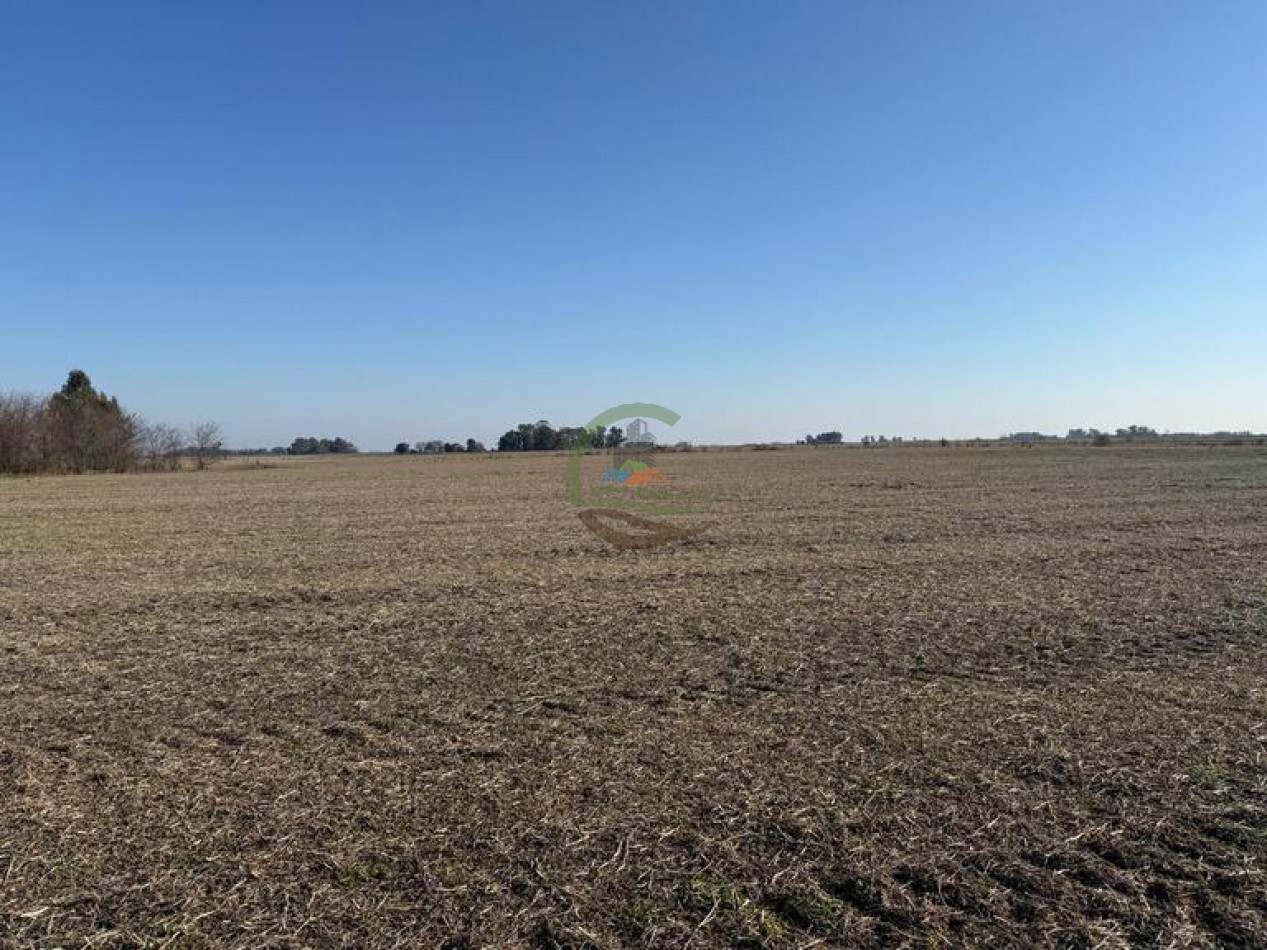 50 Ha Agricolas - Herrera Vegas