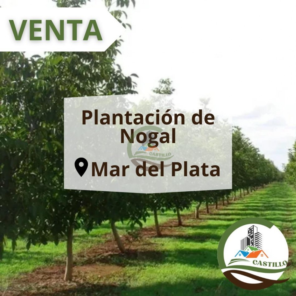 220 ha agricolas - mar del plata