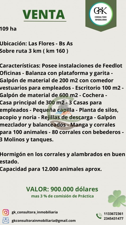 109 ha Feed Lot - Las Flores
