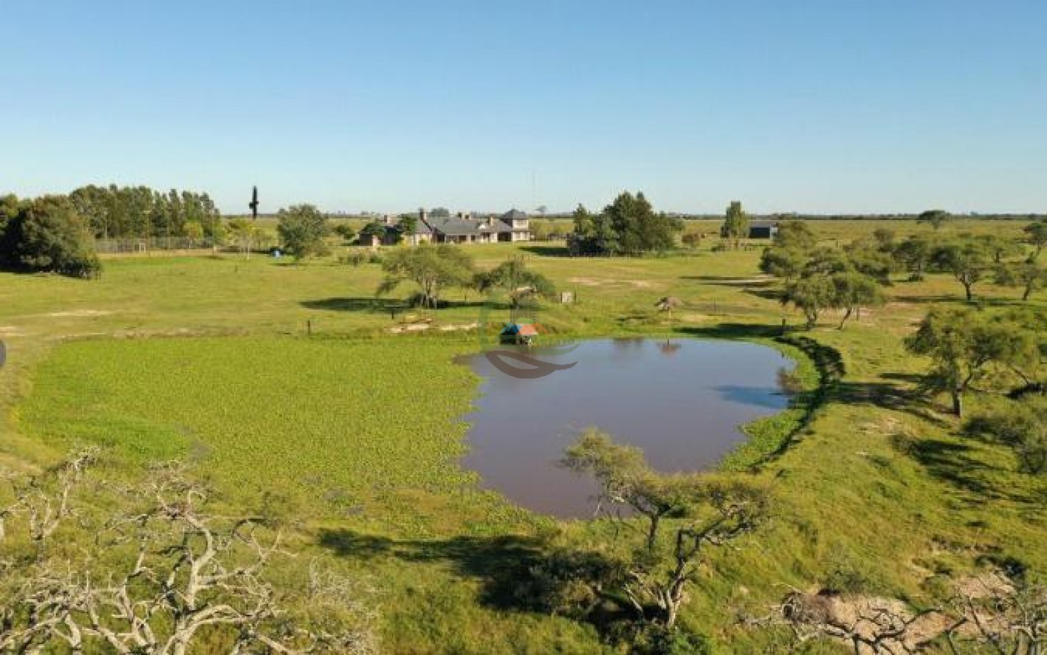 1577 Ha  Ganadero - Gualeguaychu - Entre Rios