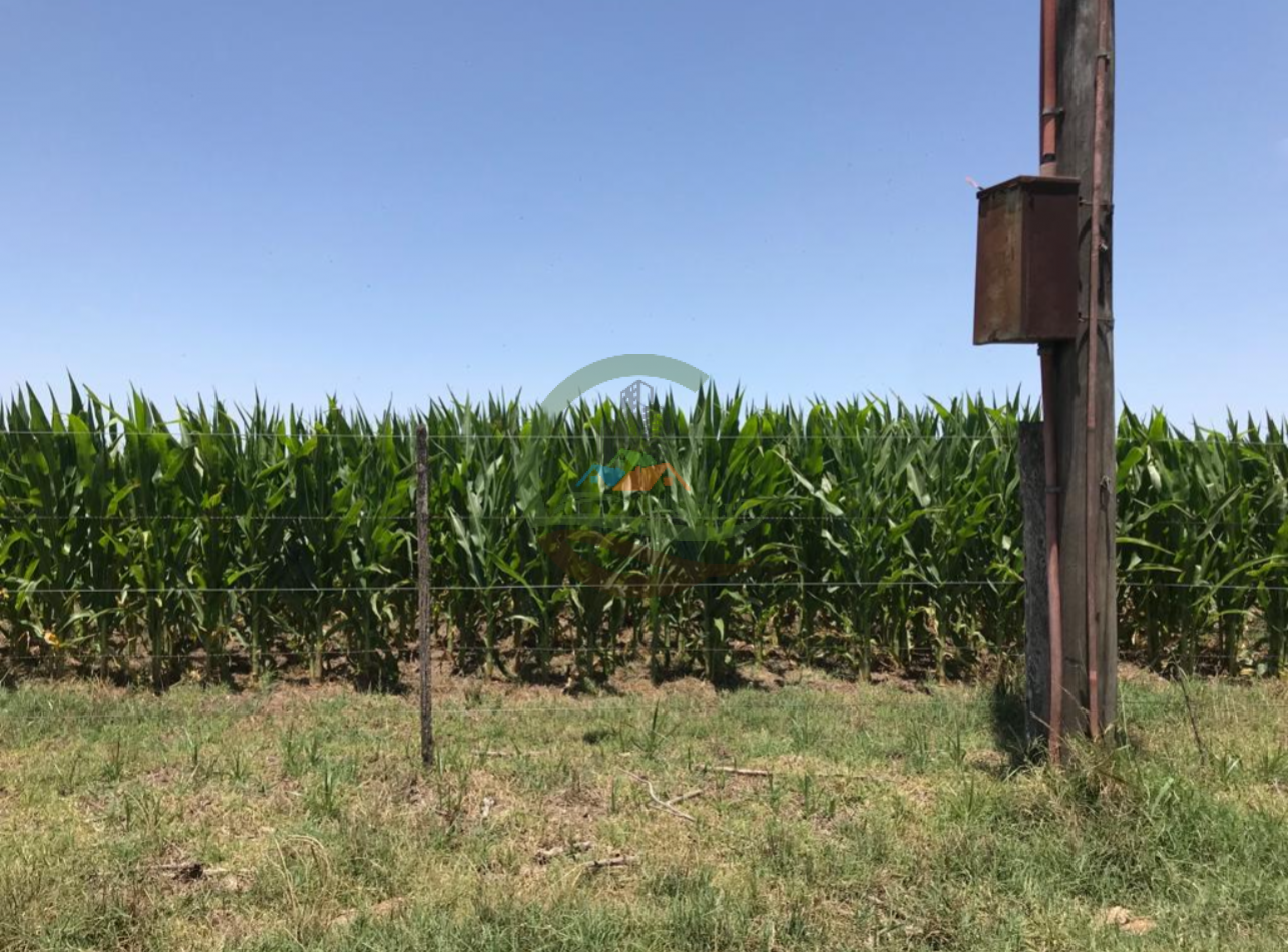 177 ha Mixtas - Pergamino 