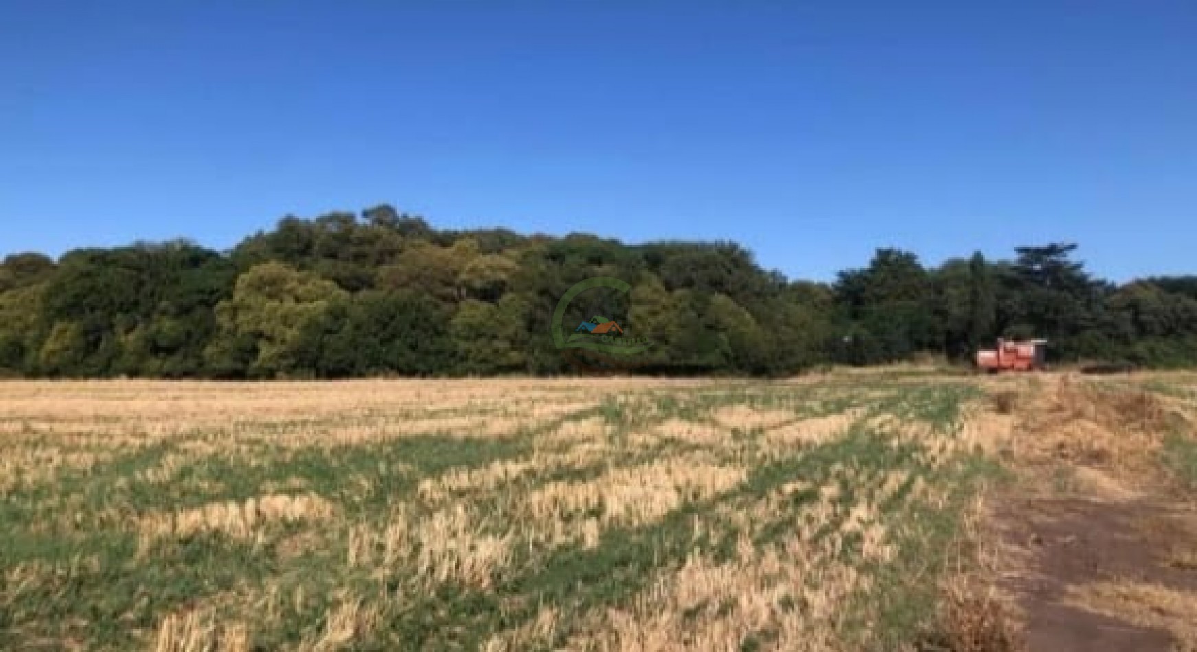 40,3 ha Mixtas - Saladillo