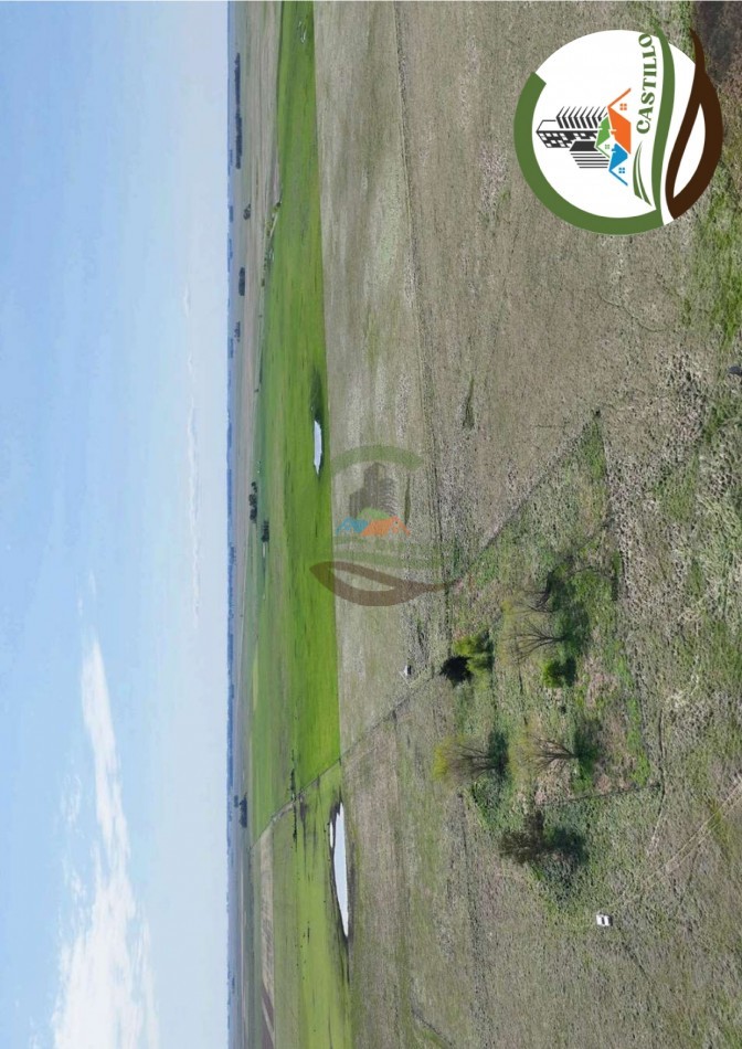 204 ha mixtas - olavarria