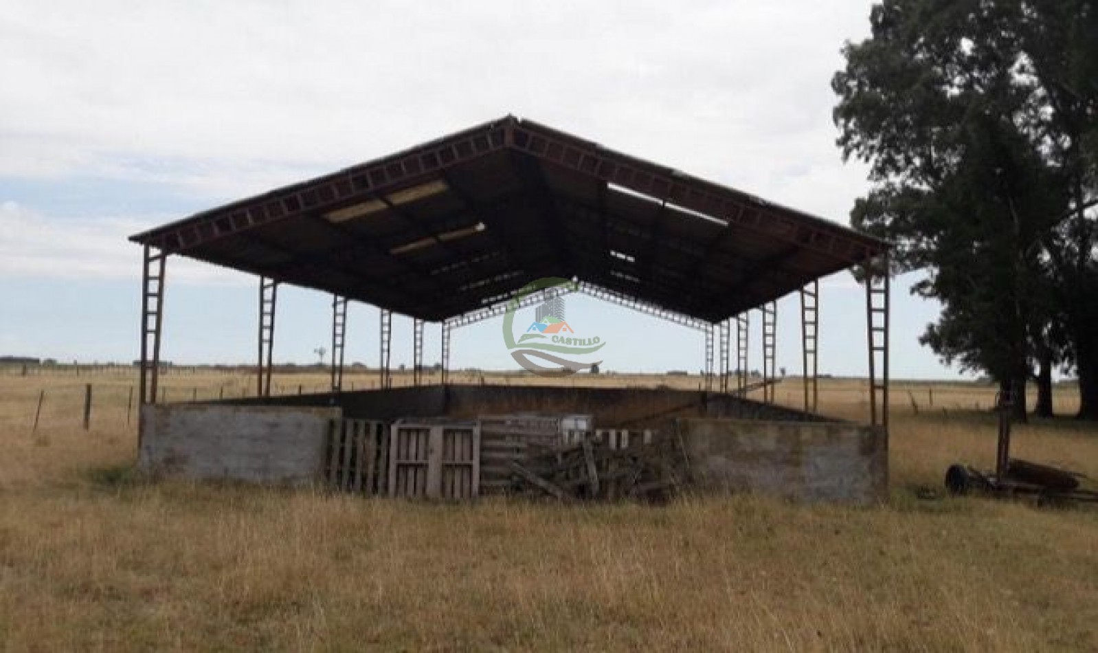 304 ha Mixtas - Olavarria 