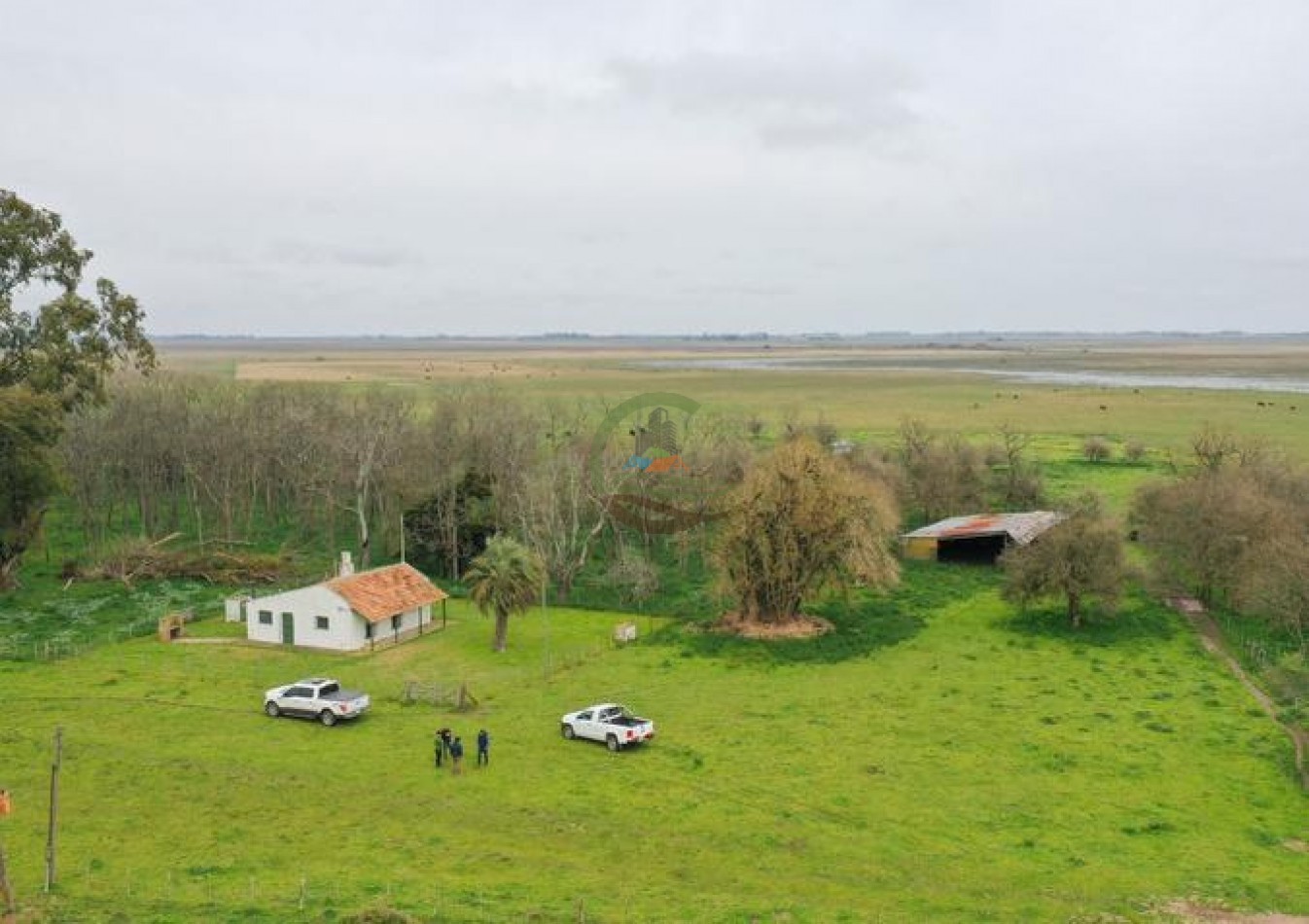 1795 Ha Ganadero - Chascomus