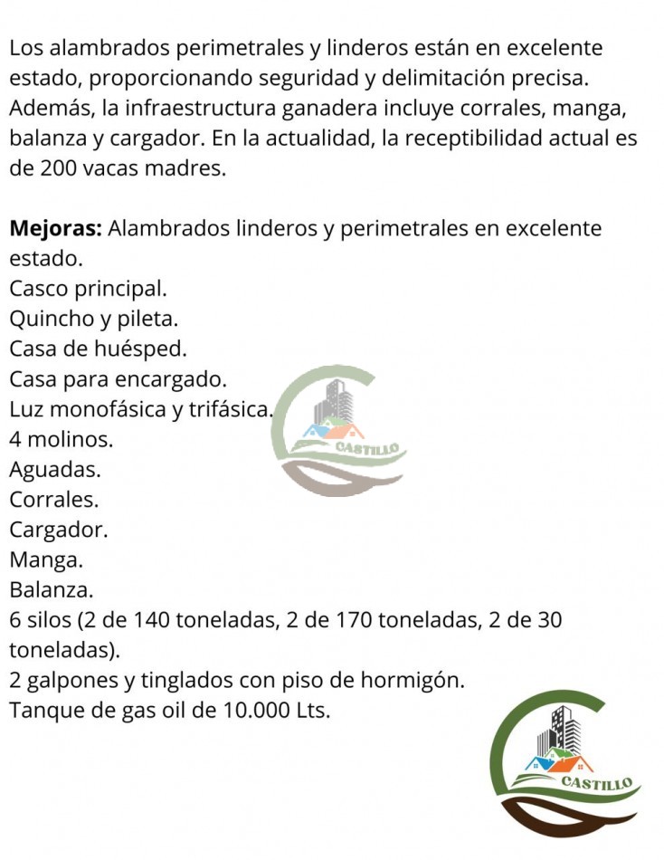 675 ha Mixtas - Carlos Casares