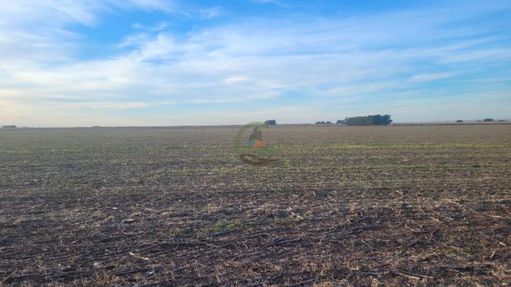 220 Ha Agricola - Elena - Cordoba