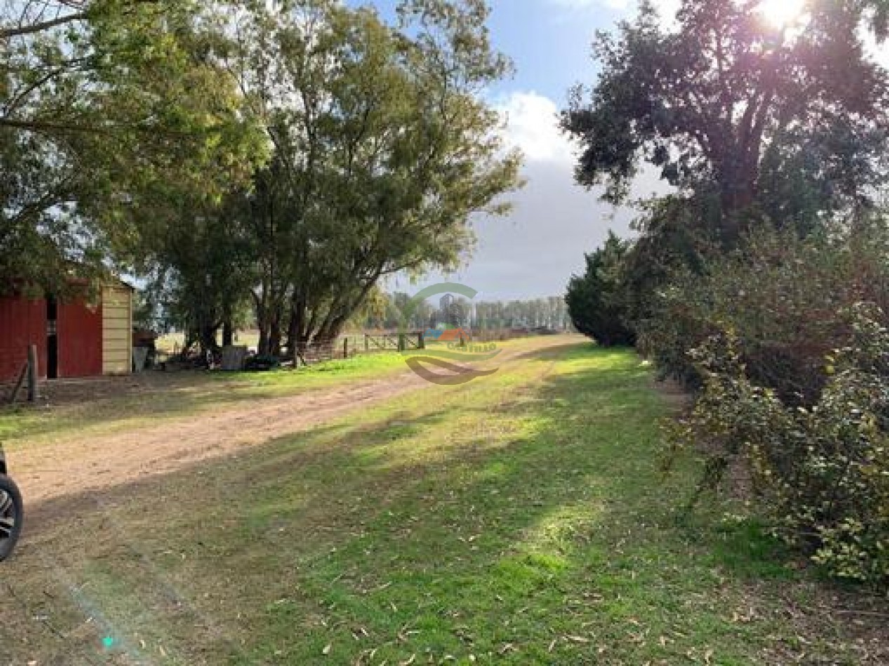 1370 Ha Agricolas - Gral Alvear