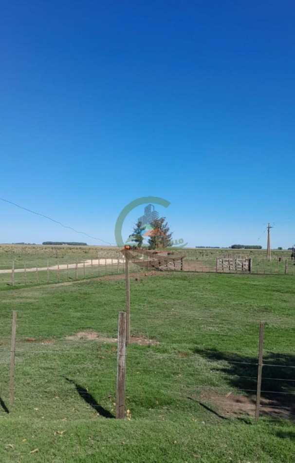 350 ha Agricolas - San Cayetano