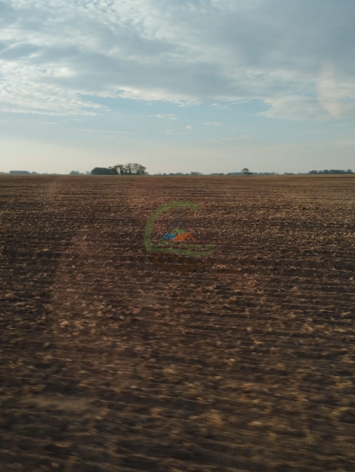 256 ha Mixto - Saladillo