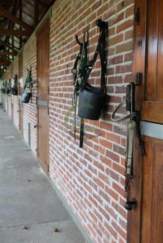 75 ha Club De Polo - Pilar