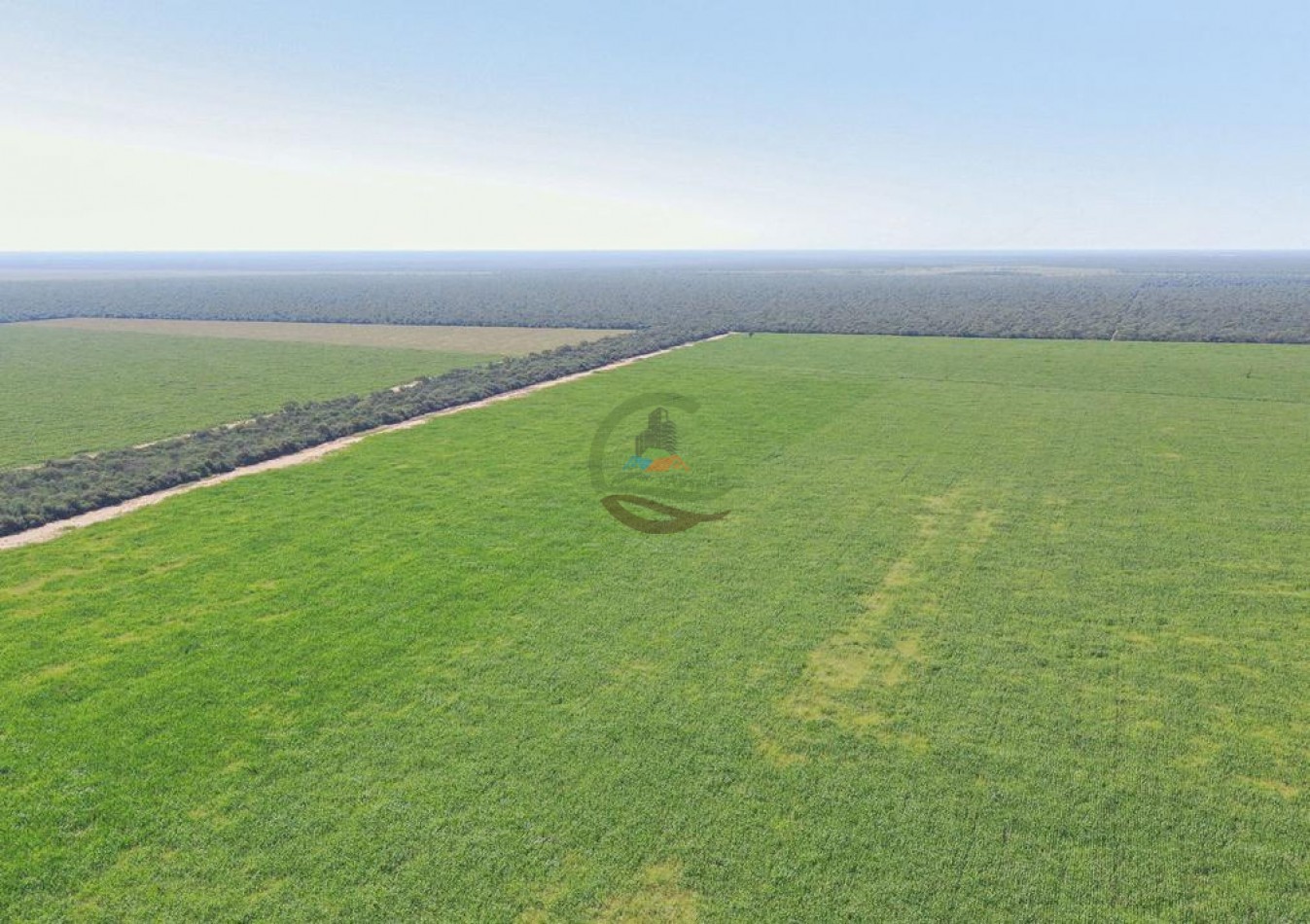 9389 Ha Mixto - Jimenez - Santiago del Estero