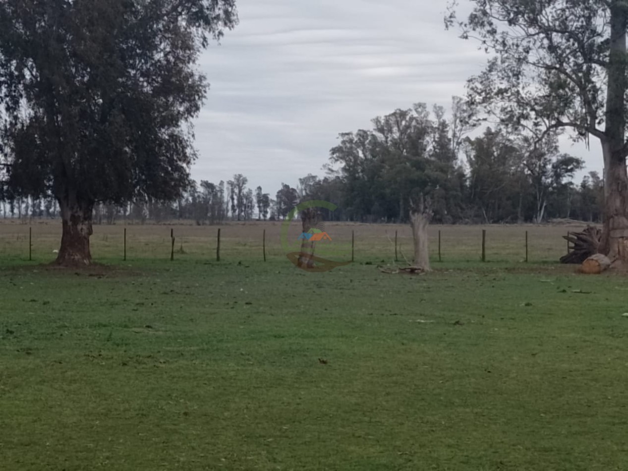 286 ha Ganaderas - Las Flores