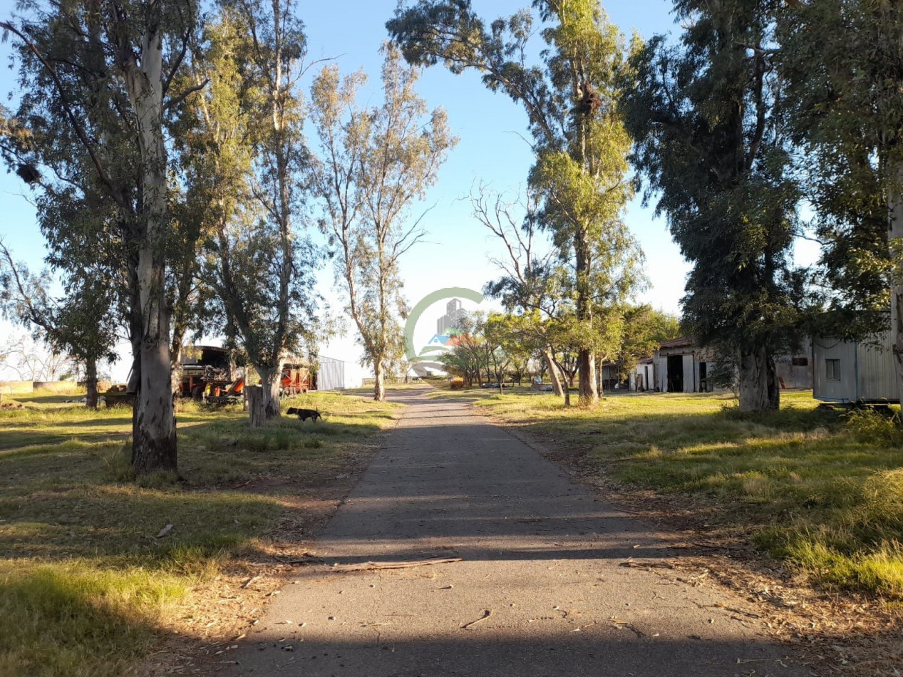 2200 Ha Agricolas - Laboulaye - Cordoba