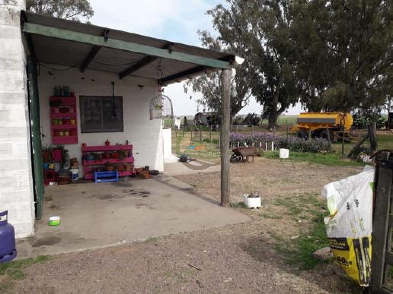 292 Ha Agricolas - Marucha - Carlos Tejedor