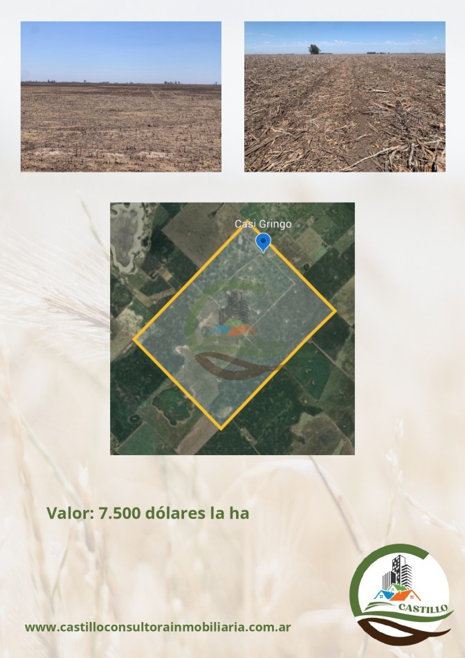 500 ha mixto - lincoln