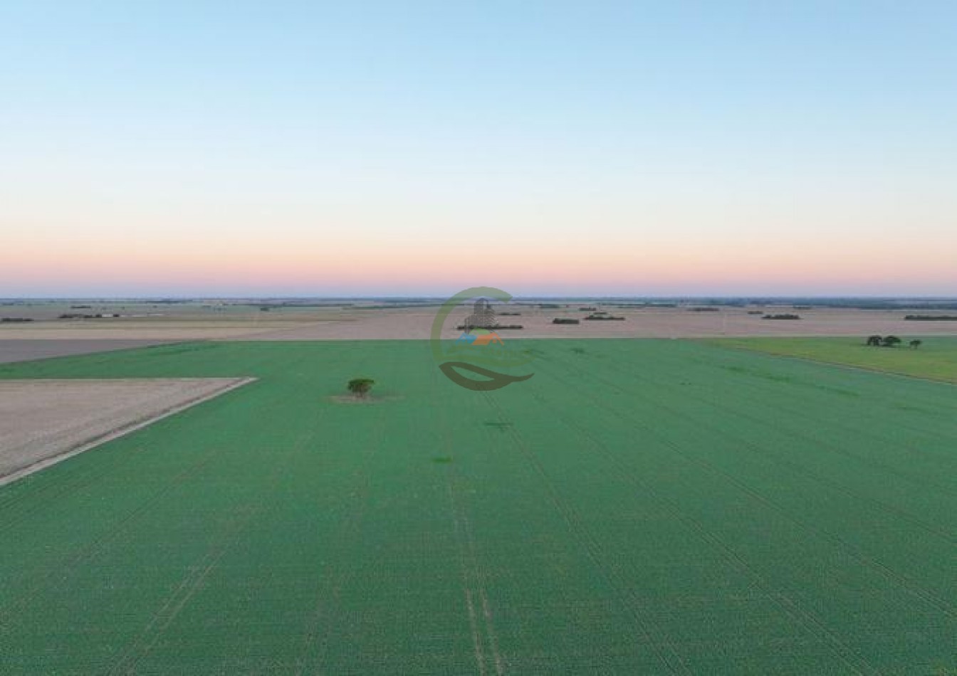 950 Ha Agricolas - Monte Cristo - Cordoba 