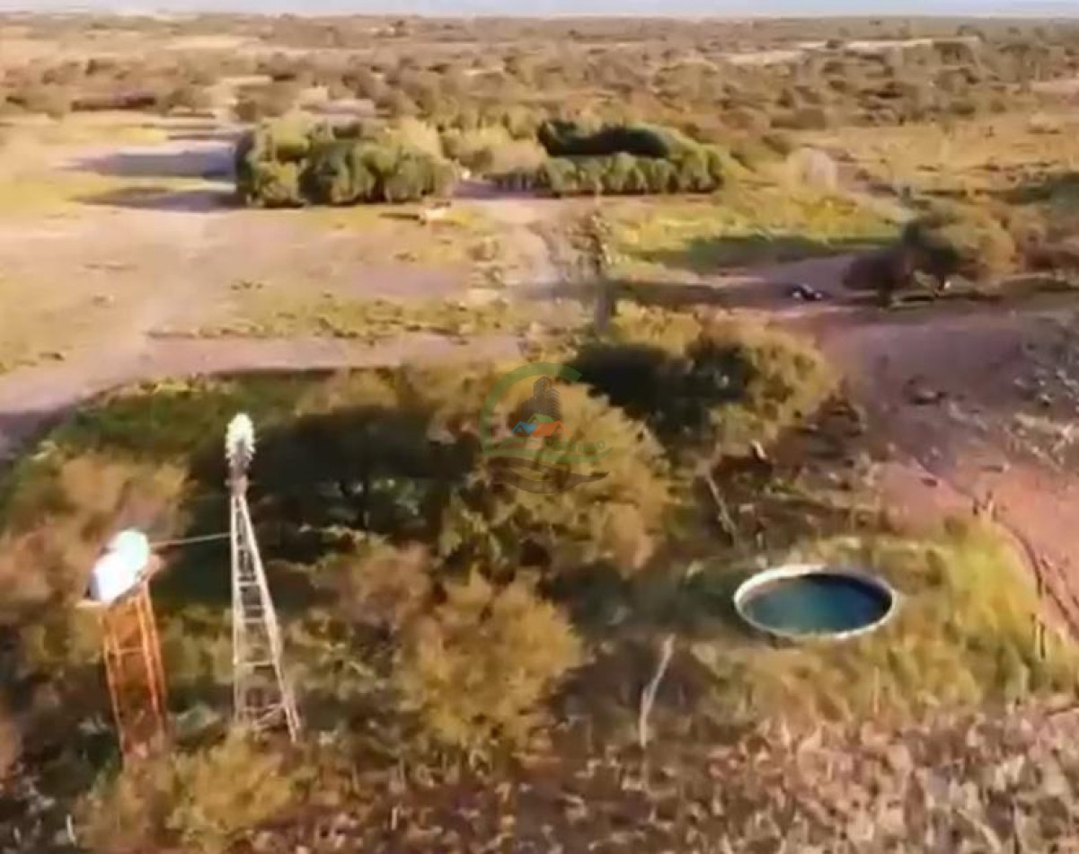 4000 Ha Coto de Caza - Hucal - La Pampa