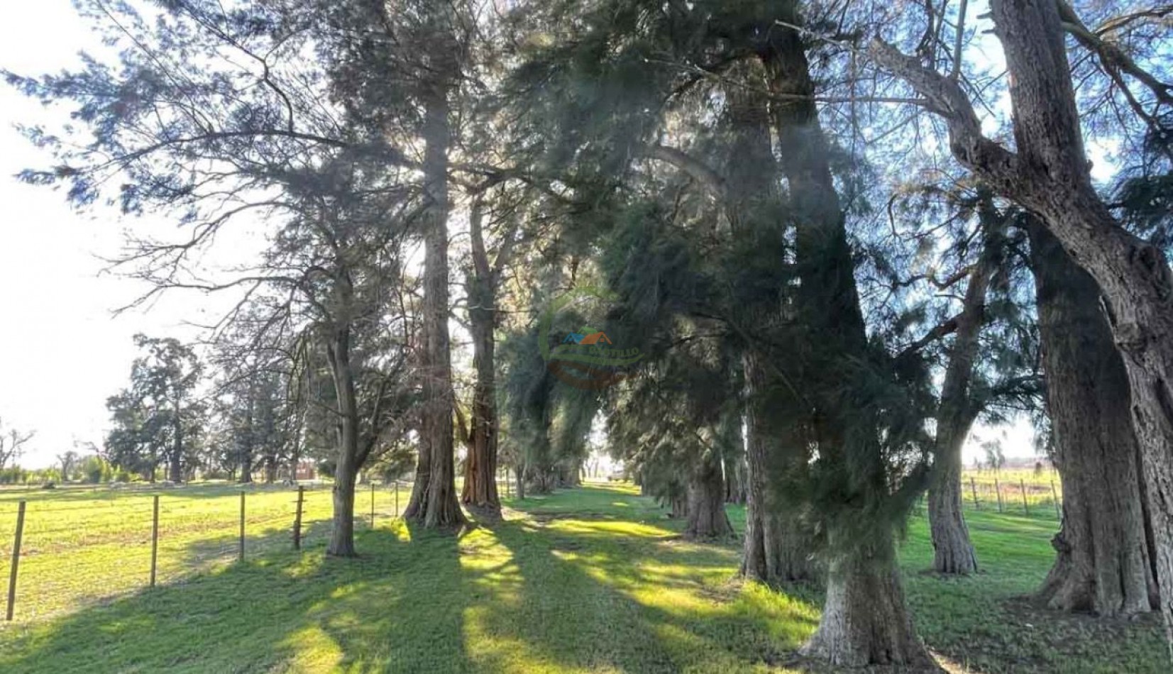 45 ha Agricolas - Lobos