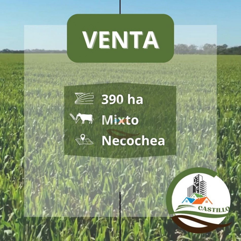 396 ha Mixto - La Dulce
