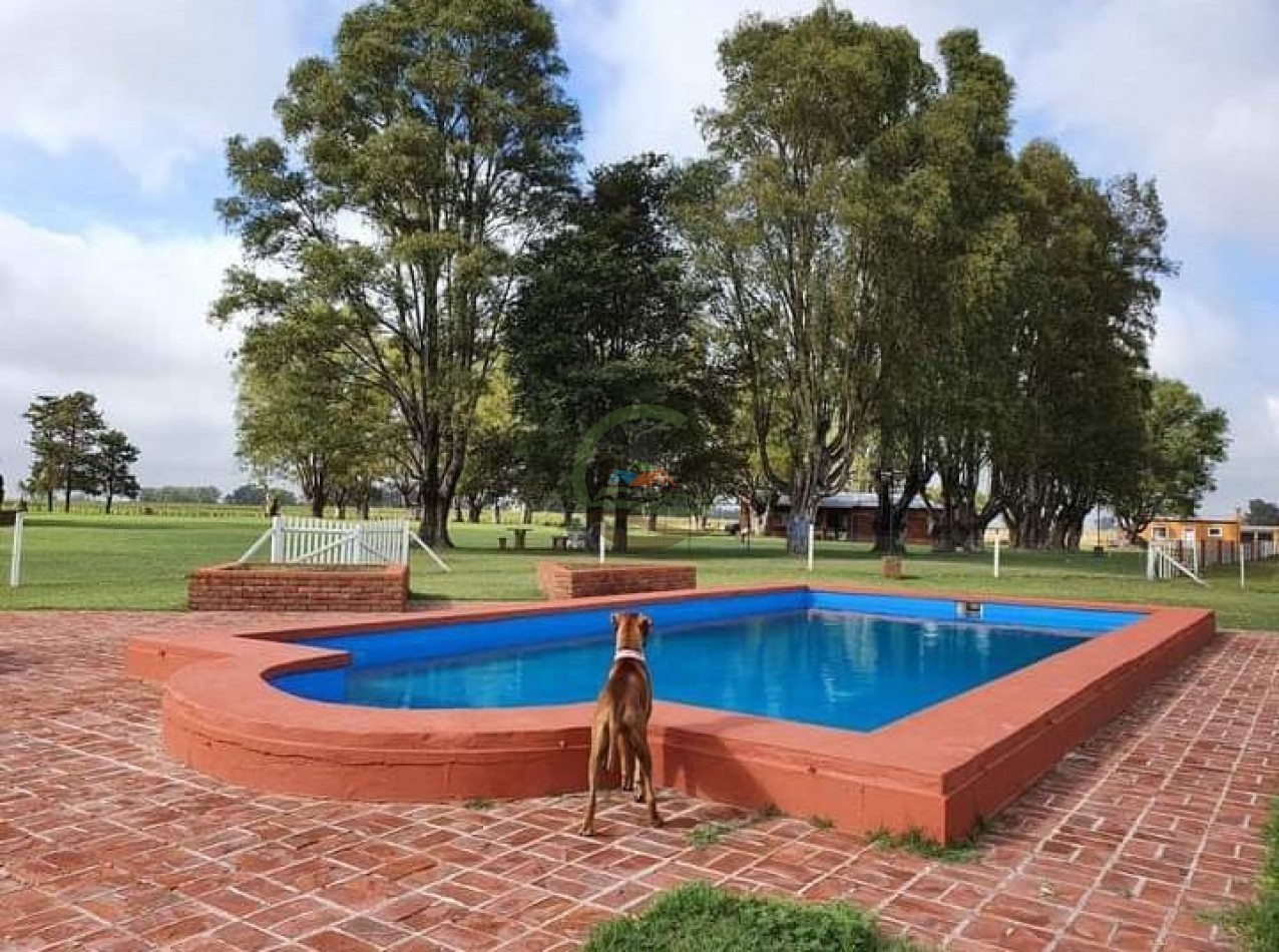 154 ha Mixtas - Gral Alvear