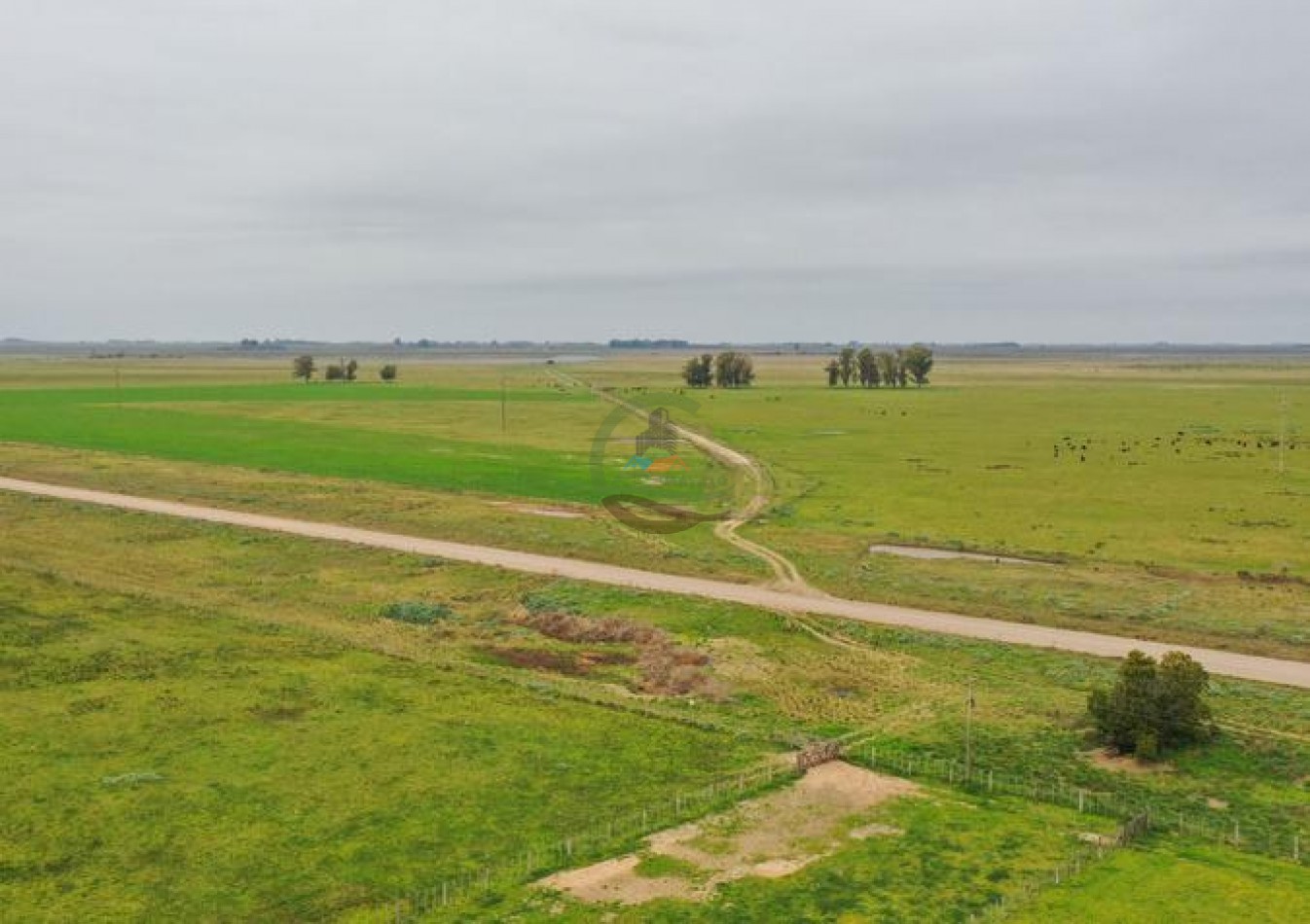 1795 Ha Ganadero - Chascomus