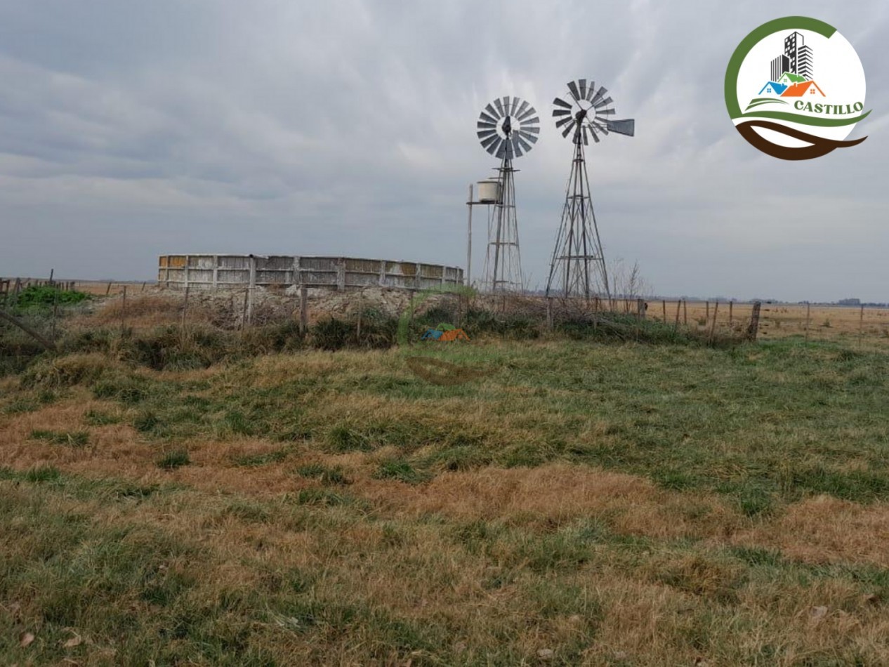 1025 ha mixta - saladillo