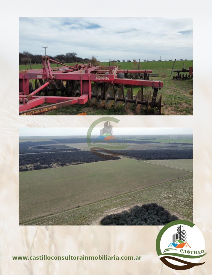 1248 ha mixto - la pampa