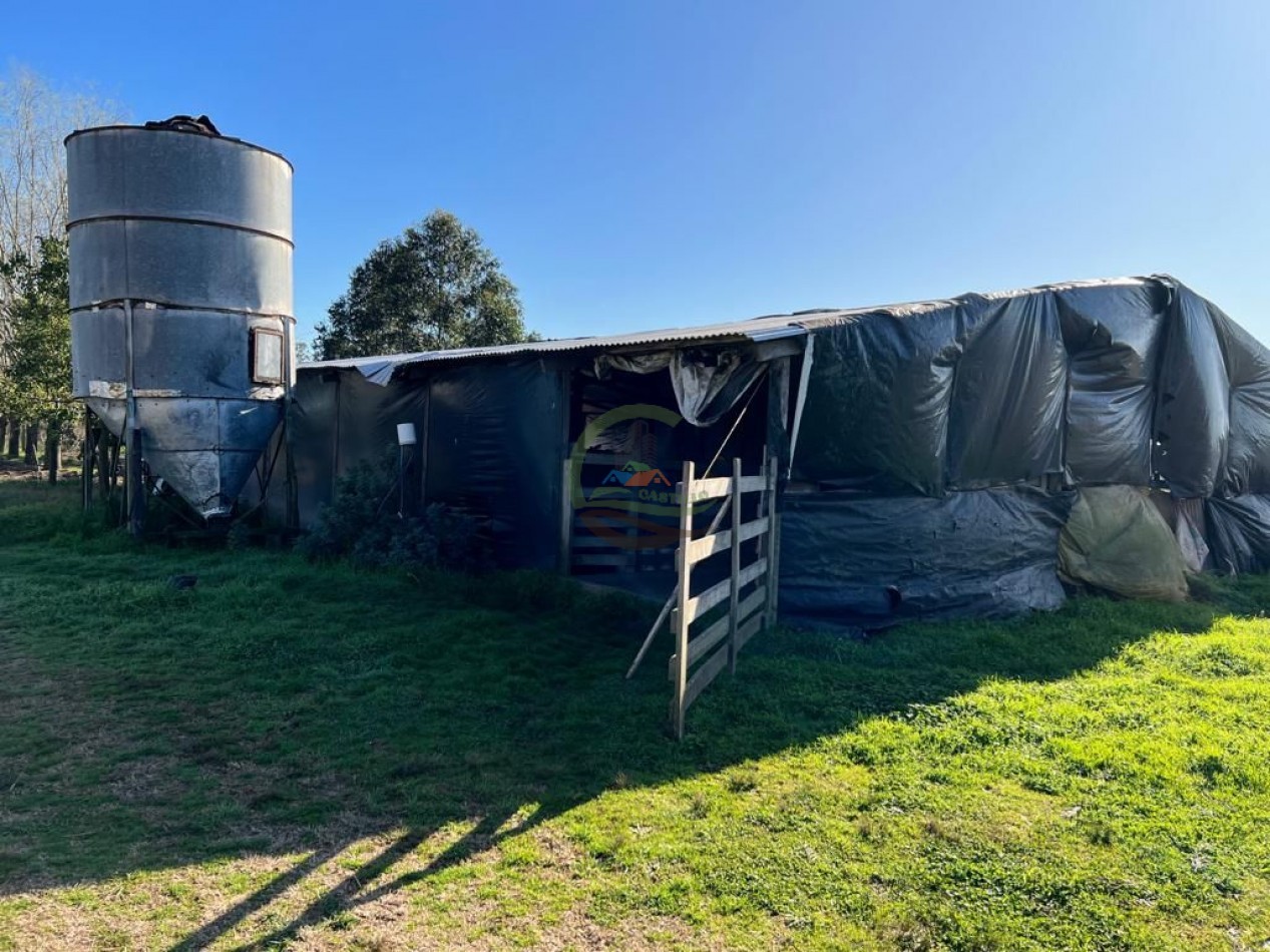 3 ha agricolas - polvaredas