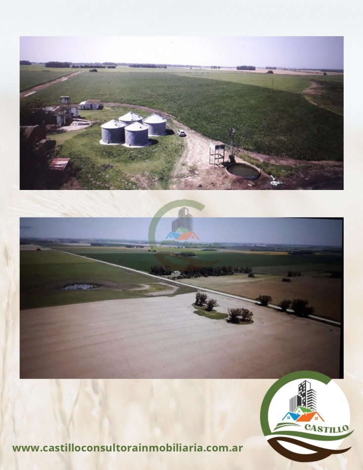 540 ha agricolas - miramar