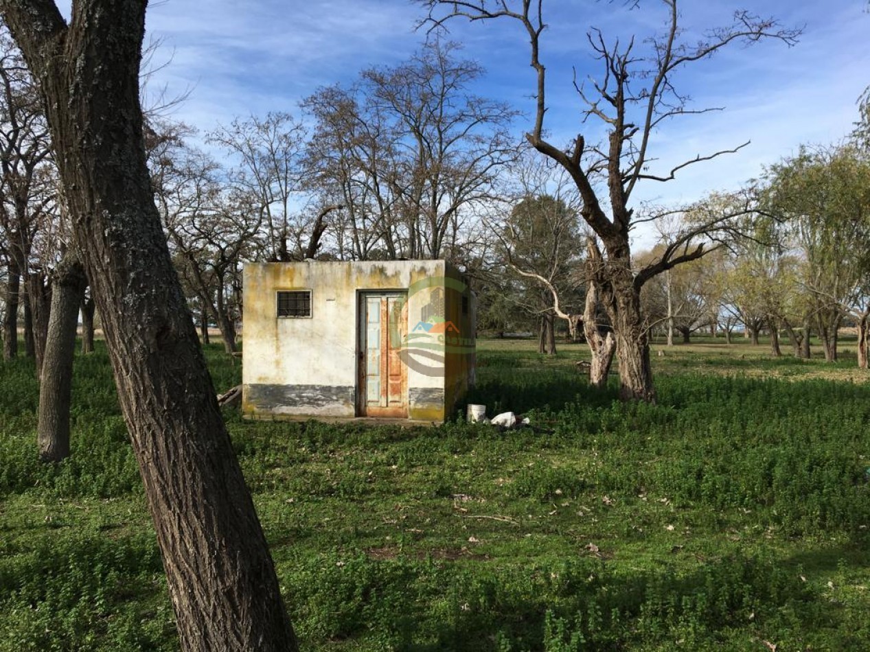 380 ha Mixtas - Bolivar