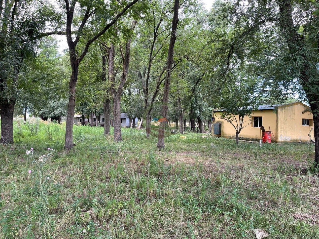 109 ha Feed Lot - Las Flores