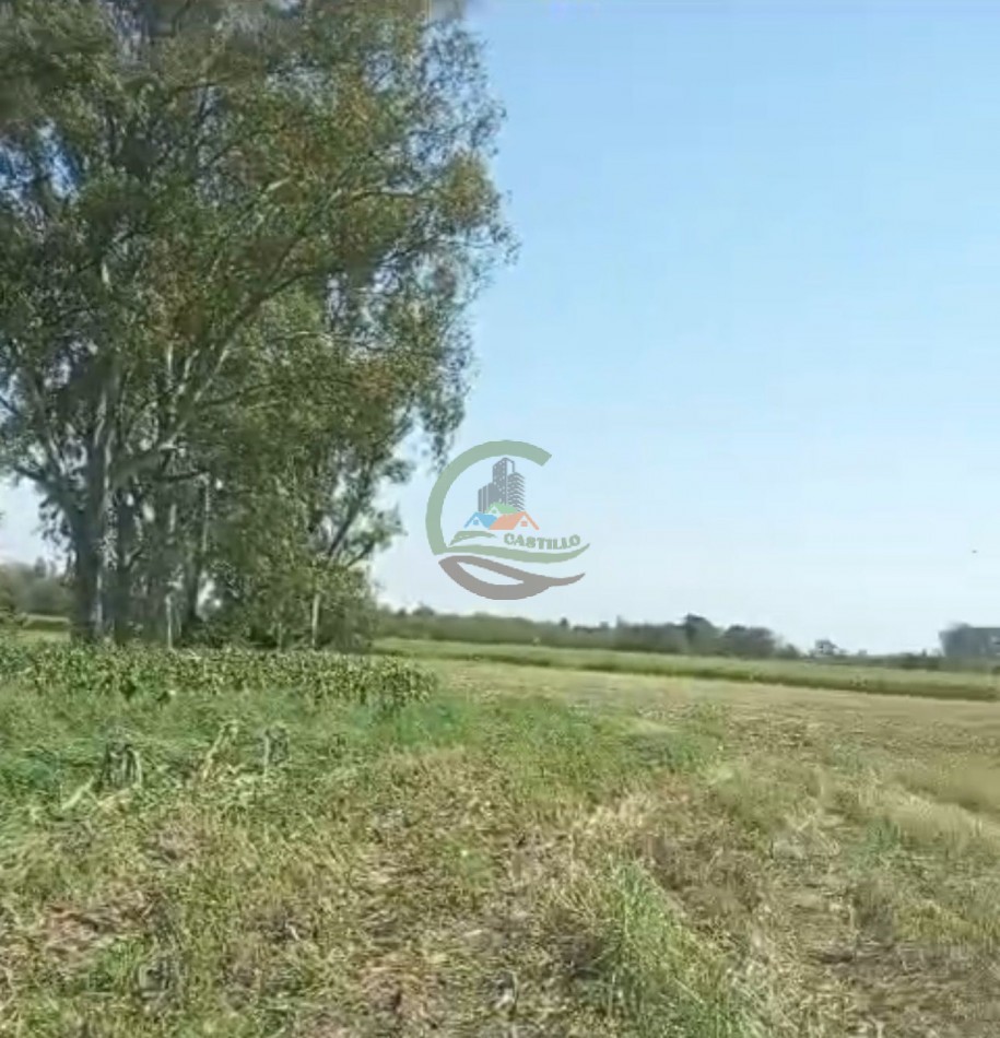 24 ha agricolas - mercedes