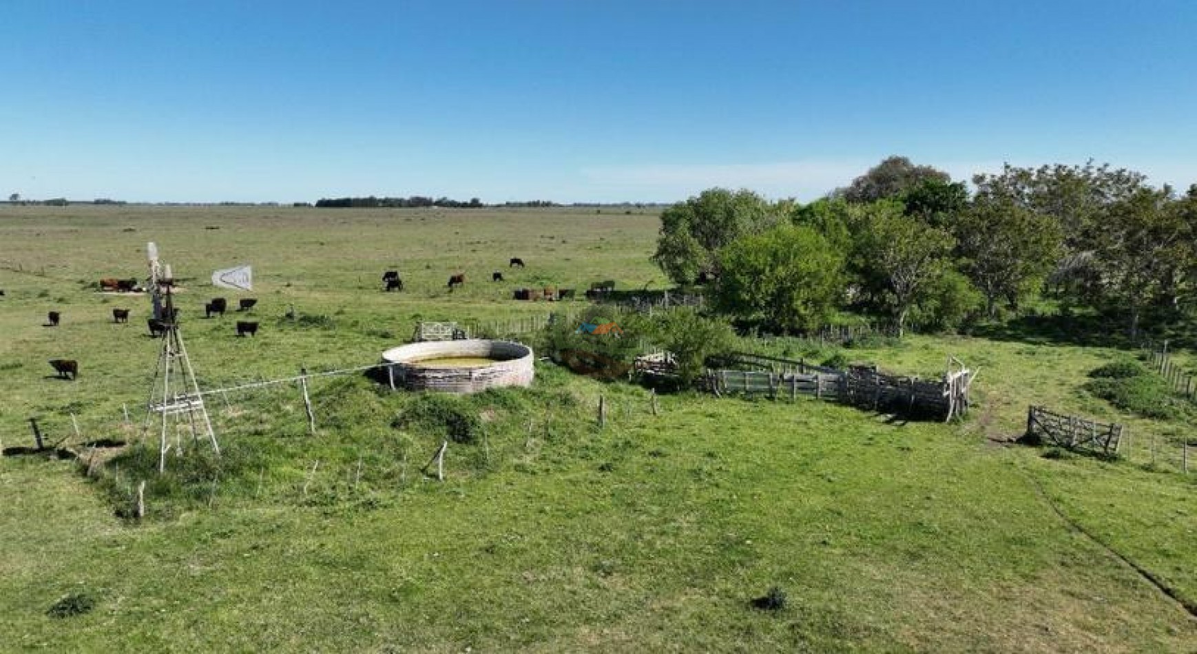 88 Ha Mixto - Udaondo - Cañuelas