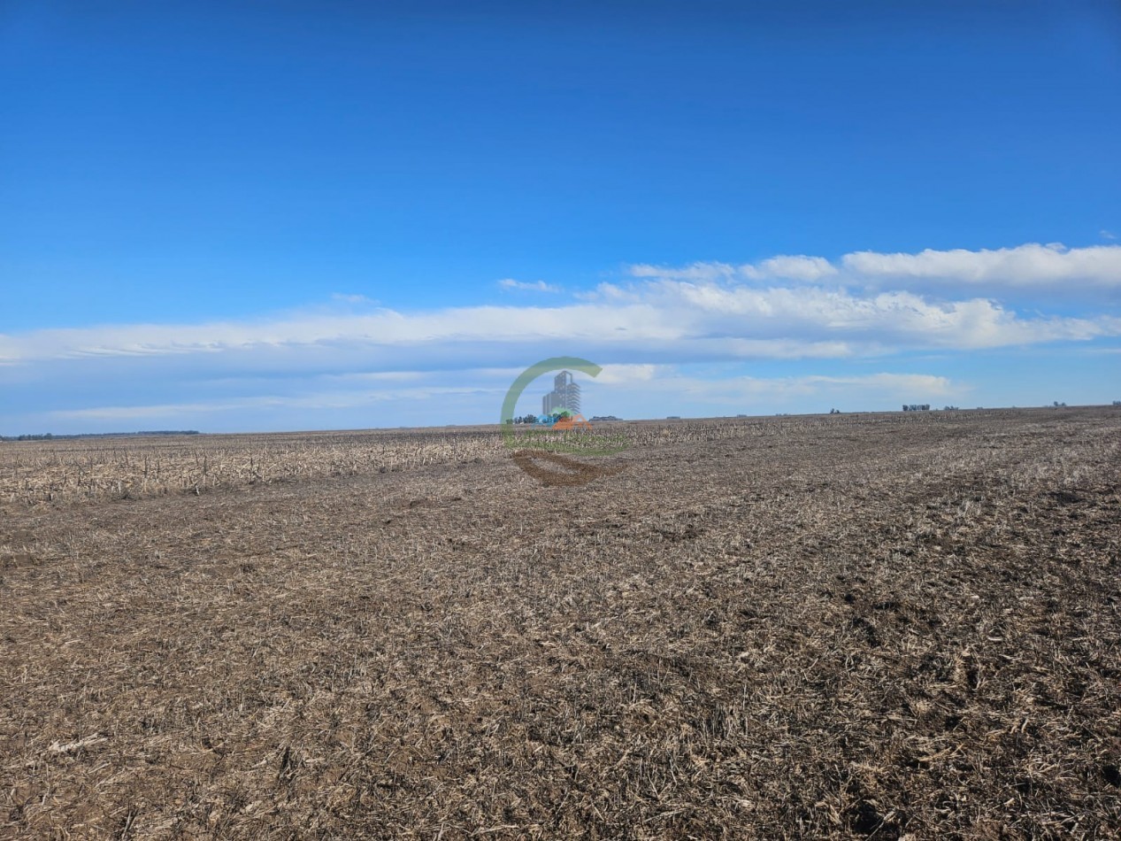 797 ha Agricolas - Bolivar