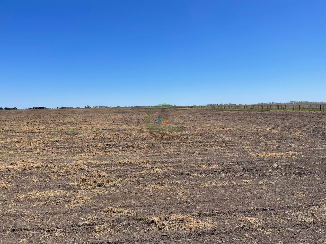 102 ha Agricolas - 25 de Mayo 