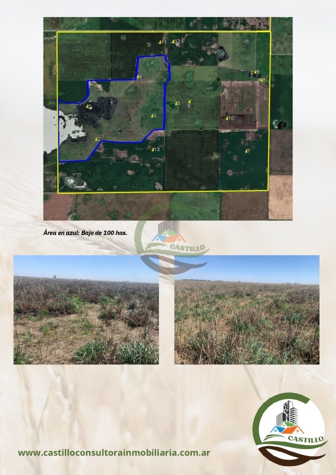 500 ha mixto - lincoln
