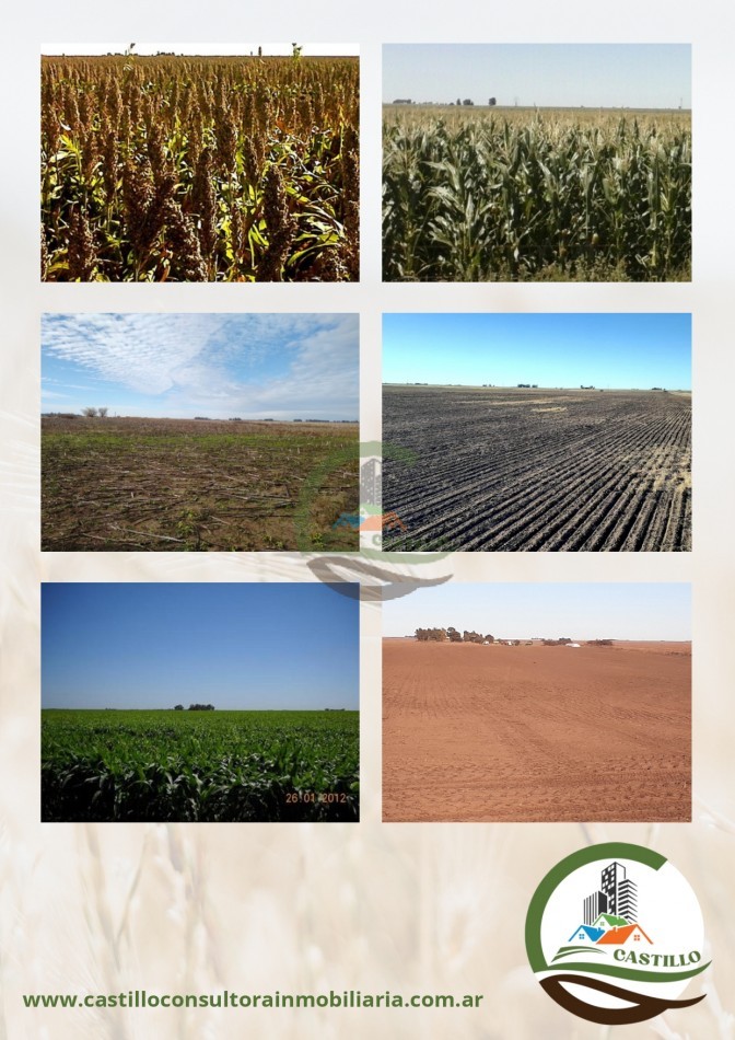 552 ha agricolas - gral alvear