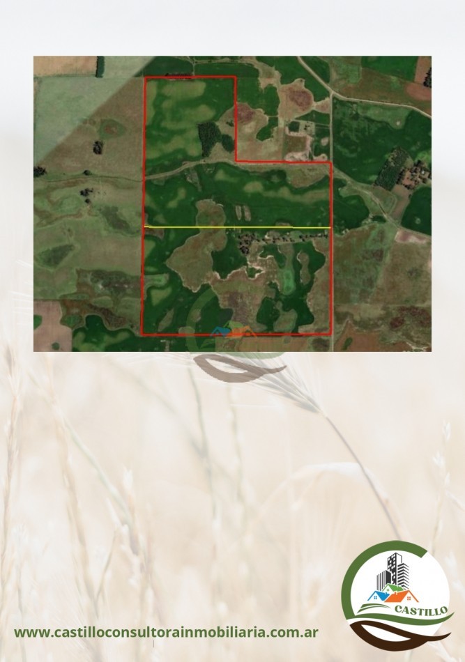 180 ha mixtas - 9 de julio