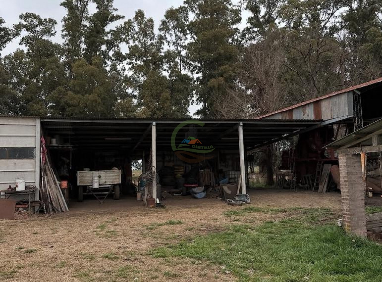 328 Ha Mixto - Colman - Rauch