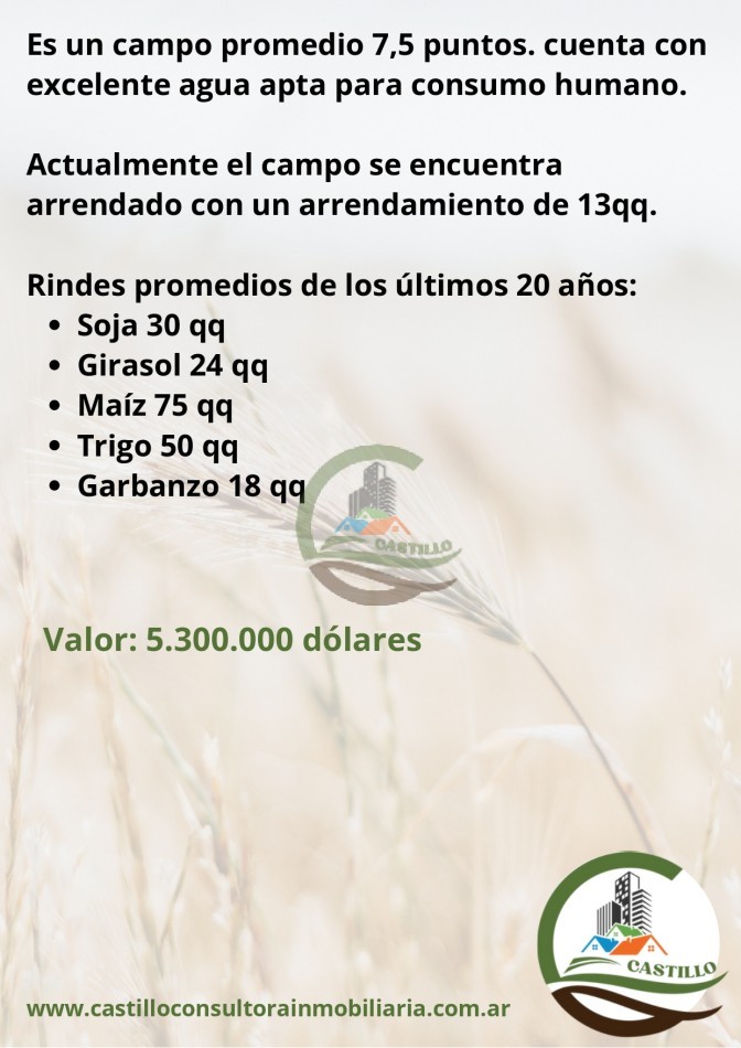 775 ha mixtas - general villegas