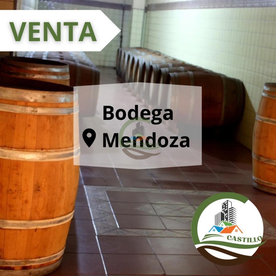440 ha - Bodega - Mendoza