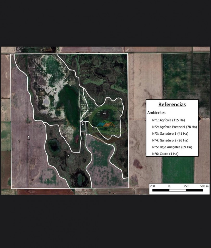 350 Ha Mixtas - Coronel Hilario Lagos - La Pampa
