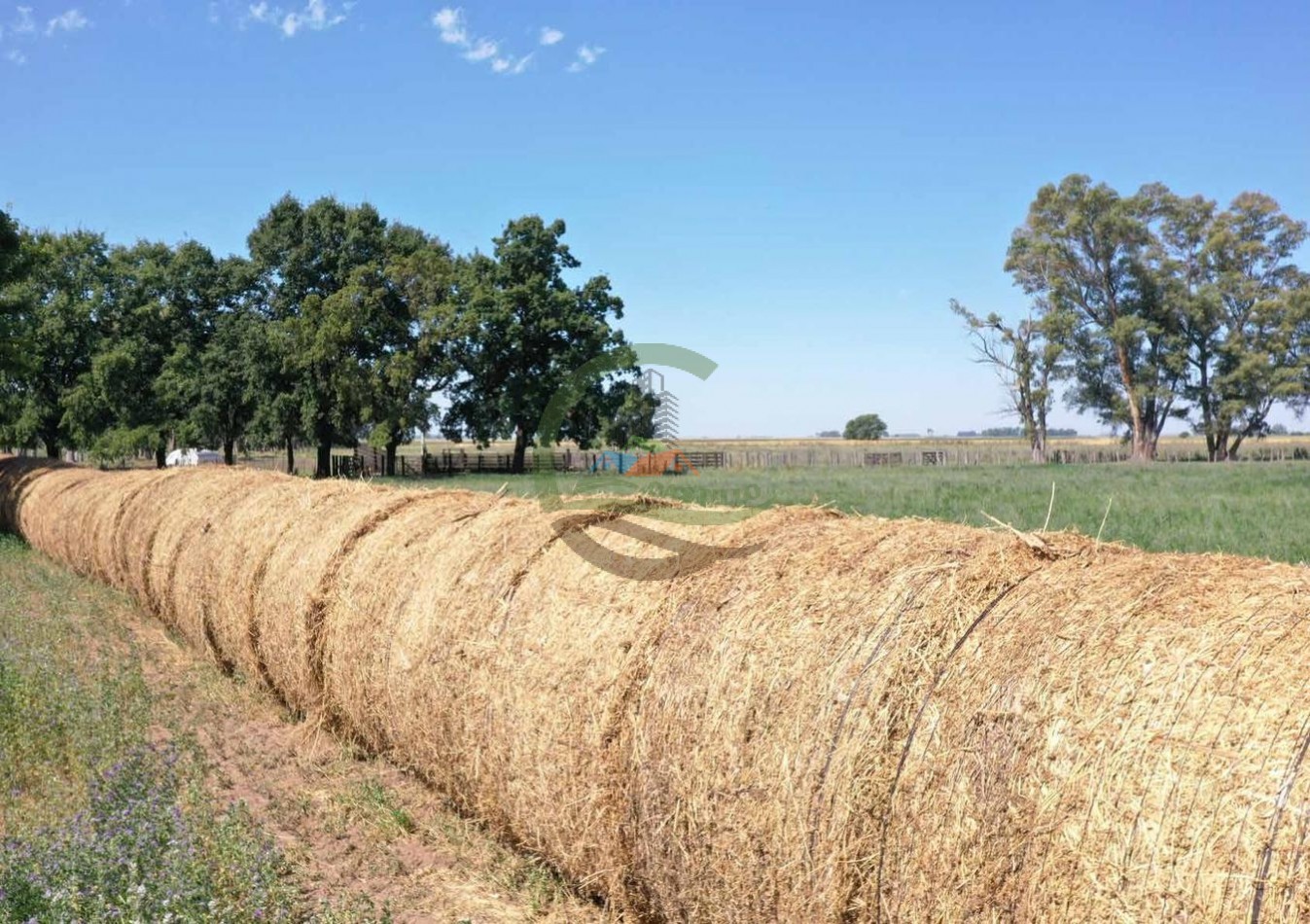 433 ha mixto - Bolivar 